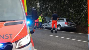 Unfall bei Armstedt: In dem Audi saßen insgesamt drei Personen.