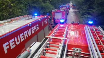 Die Einsatzkräfte übten mit zahlreichen Feuerwehrleuten und dem Katastrophenschutz im Beimoor-Wald rund um Großhansdorf