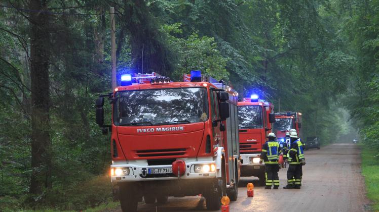 Waldbrandübung im Beimoor-Wald in Großhansdorf.