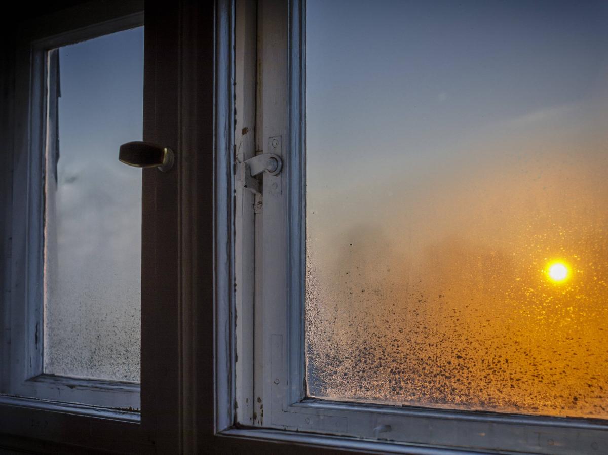 Kondenswasser am Fenster vermeiden -T-STRIPE Fensterheizung