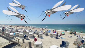Seit einigen Tagen sind auf Sylt so viele Mücken unterwegs wie seit Jahren nicht mehr. 