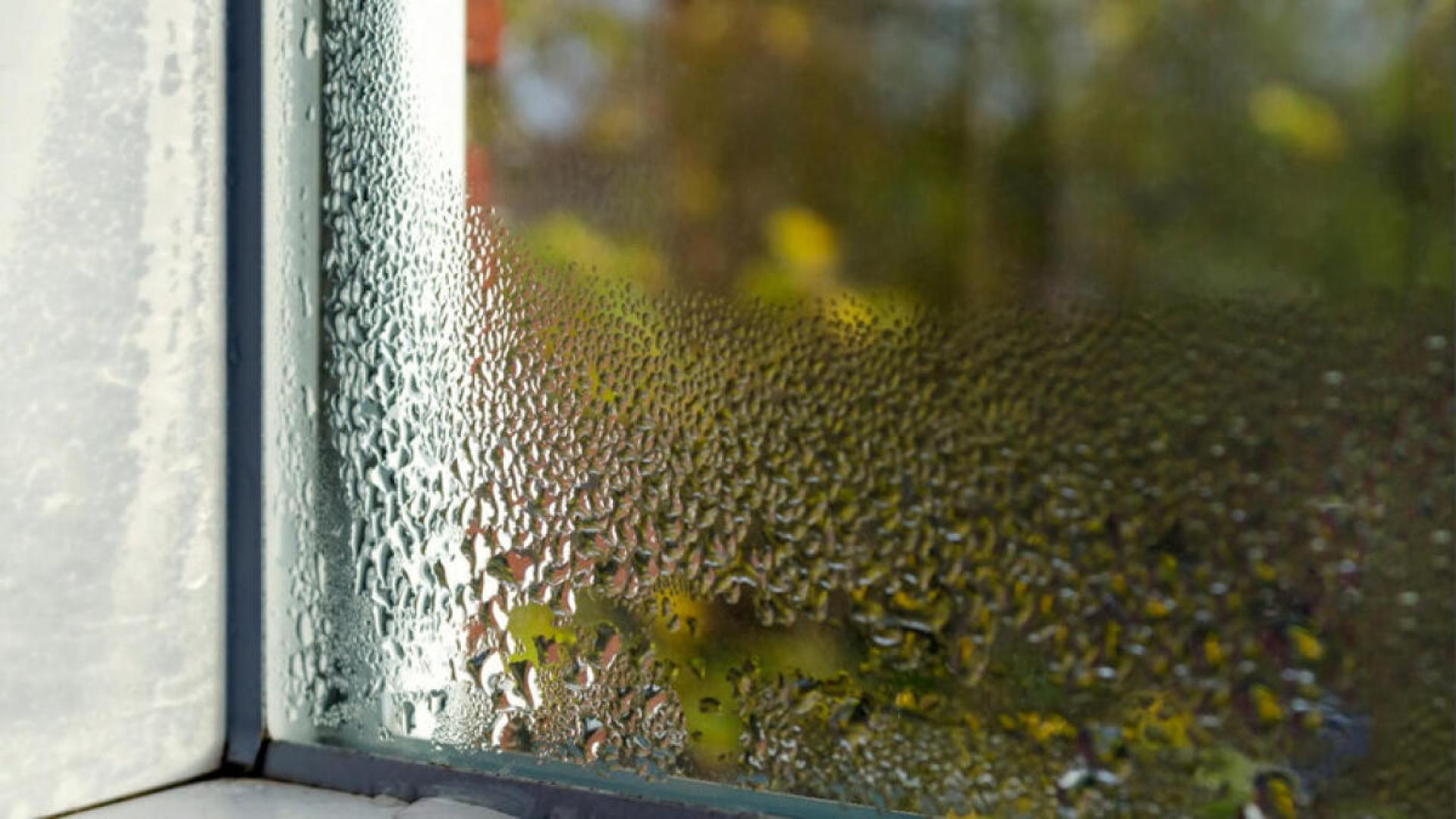 Beschlagene Fenster im Herbst: So verhindern Sie Kondenswasser