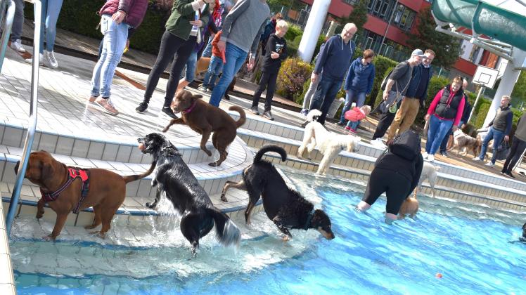 Hundeschwimmtag im Freibad Bersenbrück