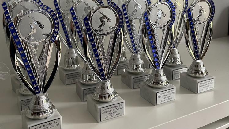Pokale für die besten Schwimmer der Saison 2021/22 des Delmenhorster SV 05.