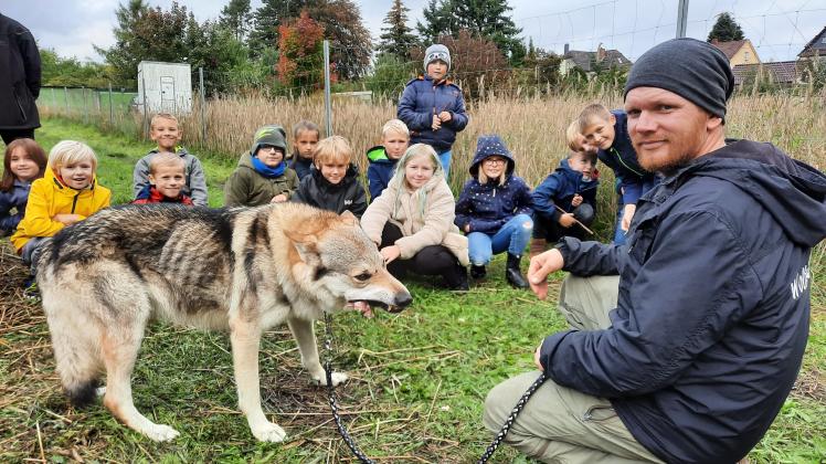 Wolfhund Dakota mit Thomas Frost