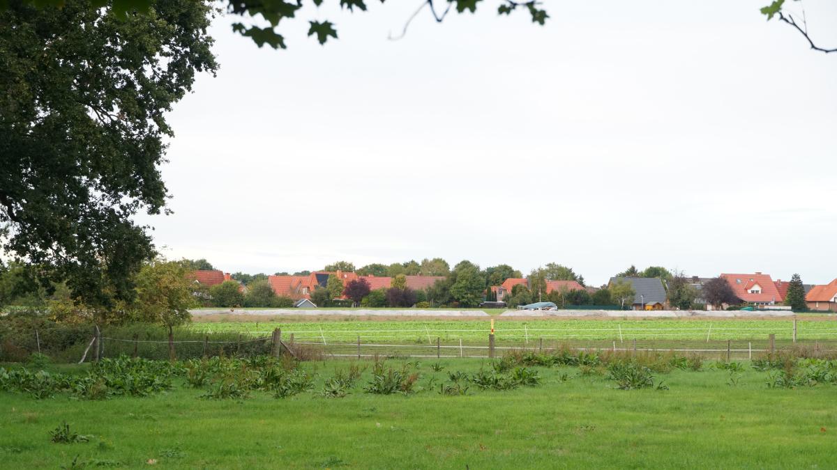 Haren So geht es in Baugebiet „Westlich der L48“ weiter