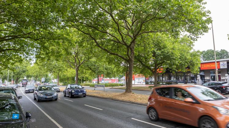 Pagenstecherstraße in Osnabrück soll Protected Bike Lane werden
