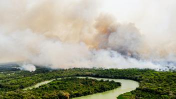 Brände im brasilianischen Pantanal