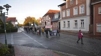 Die Demonstranten zogen unter anderem durch die Schweriner Straße. 