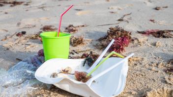 Kiel, Plastikmüll am Strand. Ab dem 3. Juli 2021 tritt die europaweite Verordnung zum Verbot von Einwegkunststoffprodukt