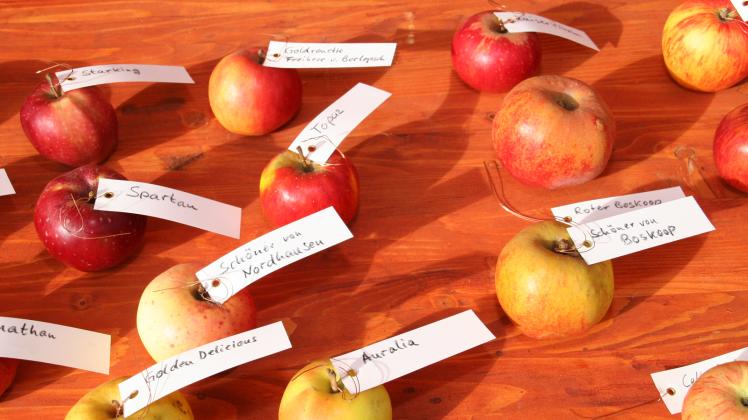 Vor Ort können die Besucher Apfelsorten von Experten bestimmen lassen.