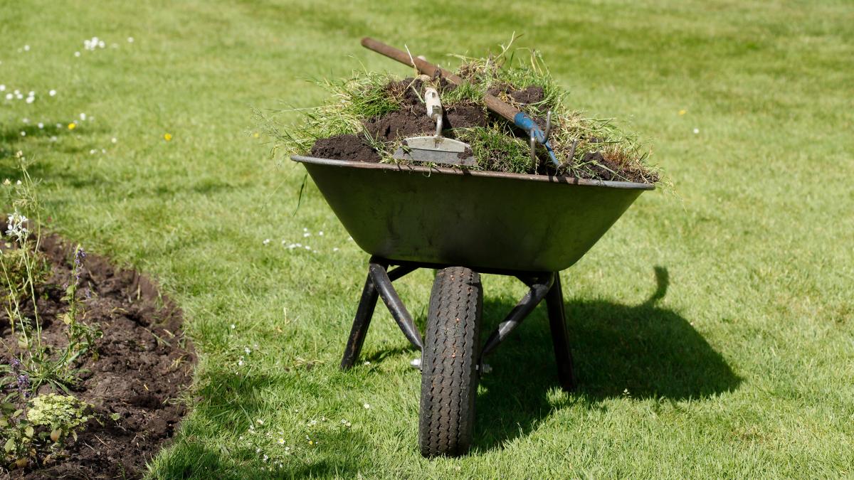 Neumünster Hohe Strafen für illegale von Gartenabfall