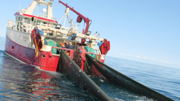 Beim Verband „Danmarks Fiskeriforening“ stößt das Verbot der Grundnetze in einigen Belten und Förden auf Kritik.