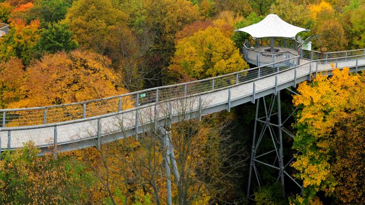 Beautiful Autumn Colors At The Tree Top Walk In Hainich Germany On A Beautiful Overcast Autumn Day