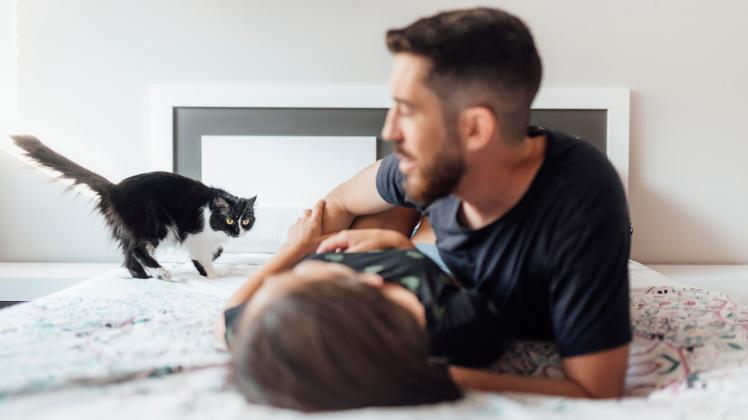 Couple lying down on bed while playing with cat at home