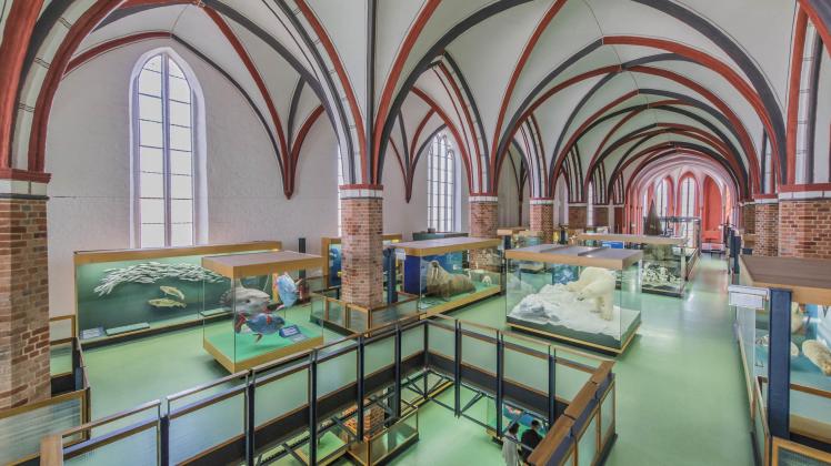 Die Katharinenhalle in Stralsund wurde 1317 in Betrieb genommen und gehörte zu einem Kloster. Ein Gewölbe überspannt die Ausstellungsräume. 