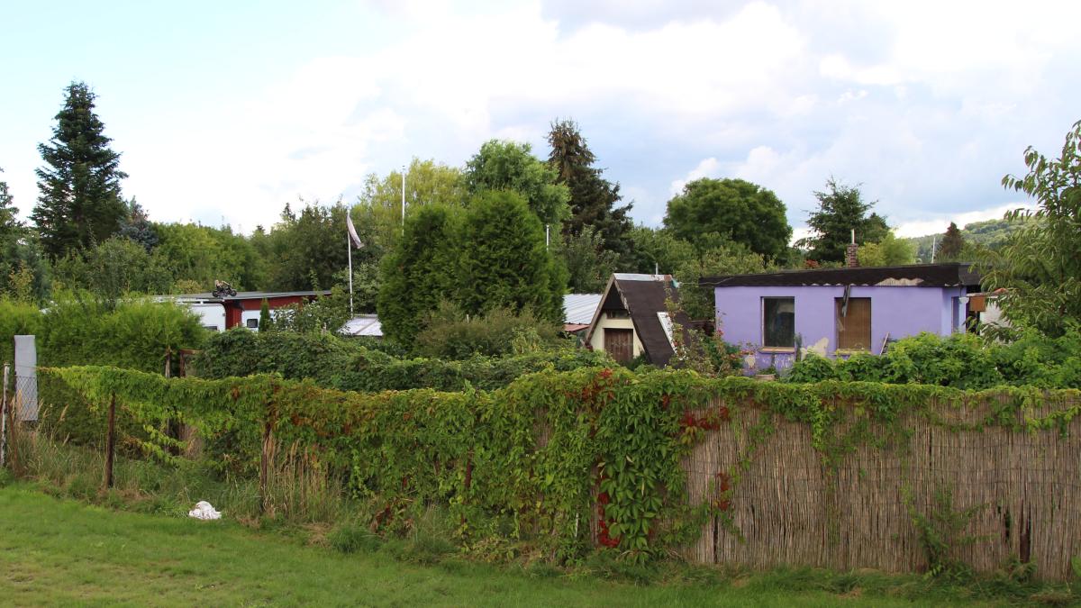 Schwaan denkt über Bauland auf Gelände von Gartenanlage nach SVZ