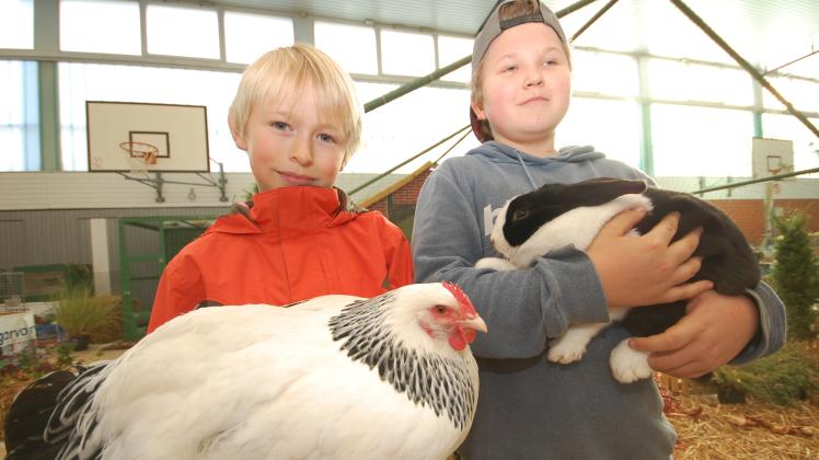 Auch junge Züchter wie im Jahr 2015 Florian Lööck (damals 9, l.) und Leven-Julian Komm (damals 13) sind begeistert bei der Sache und zeigen ihre Tiere.