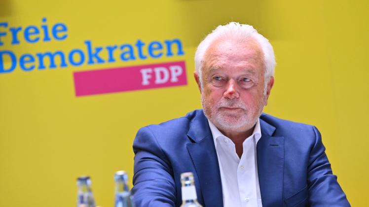 Landesparteitag der FDP in Hamburg