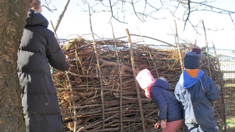 Kindergarten in Todendorf erzieht Kinder zu Umweltschützern | SHZ