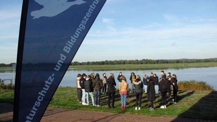 Am Alfsee beschäftigten sich die Gymnasiasten aus Bramsche mit dem Thema Nachhaltigkeit.