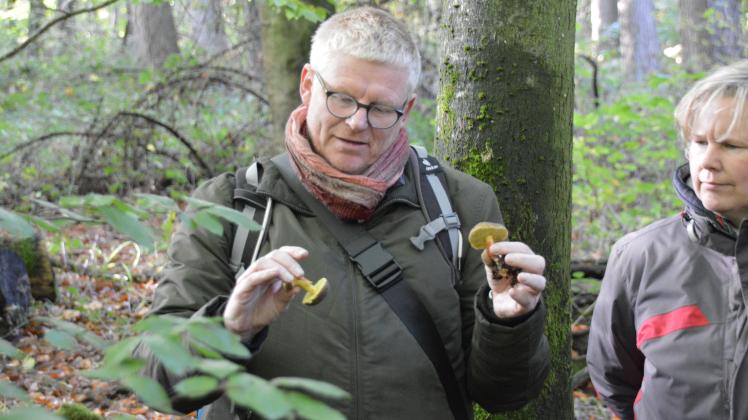 Pilzsachverständiger Sönke Lettau erklärt bei Pilz-Lehrgängen, welche Arten essbar sind und wie man sie erkennt.