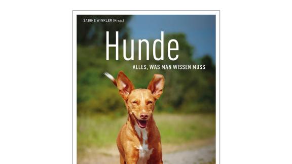 <p>HANDOUT - Barbara Schöning: «Hunde - alles, was man wissen muss». Foto: Kosmos Verlag/dpa-tmn - ACHTUNG: Nur zur redaktionellen Verwendung im Zusammenhang mit dem genannten Text und nur bei vollständiger Nennung des vorstehenden Credits</p> «Hunde - alles, was man wissen muss»