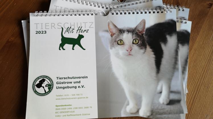 Der neue Katzenkalender es Tierschutzvereins Güstrow und Umgebung ist da.