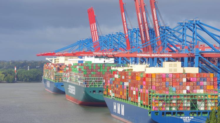 Containerfrachter im Hamburger Hafen. *** Container freighter in Hamburg port