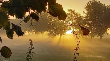 Diese malerische Aufnahme gelang Leserin Meike Ahlers an einem Herbstmorgen in Lünne.