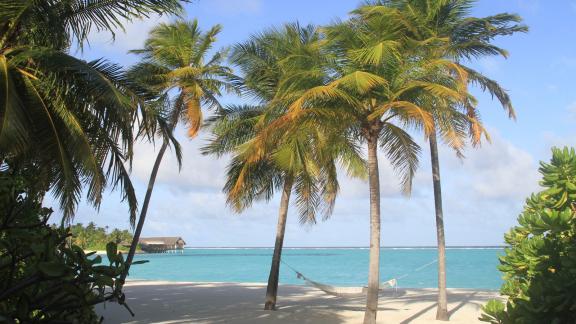 <p>ARCHIV - Wie abgemessen: Vor den Villen am Strand der Insel Reethi Rah stehen zwei Palmen immer exakt so, dass eine Hängematte dazwischen passt. Foto: Bernhard Krieger/dpa-tmn</p> Palmen am weißen Sandstrand