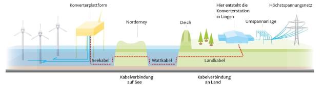 Wald In Lingen Wird Für Konverterstation Von Amprion Gerodet | NOZ