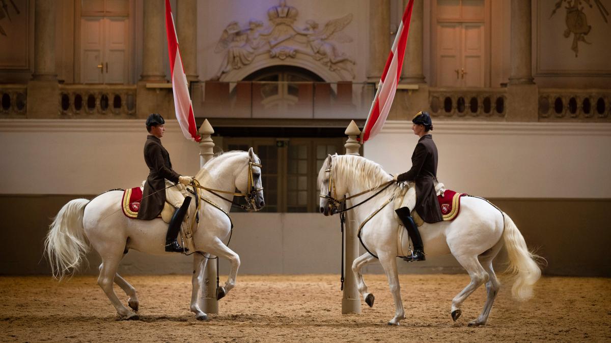 Spanische Hofreitschule Wien mit ihren Lipizzanern in Neumünster