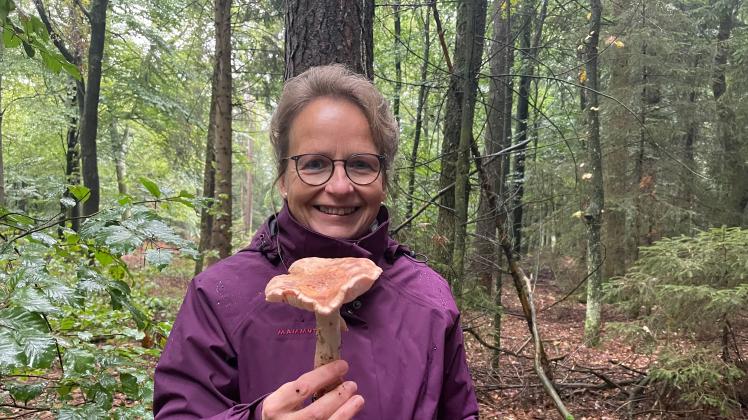 Britta Koch aus Ottenbüttel findet einen Perlpilz im Wald bei Itzehoe während der Pilzwanderung mit Pilz-Coach Monika Weber.
