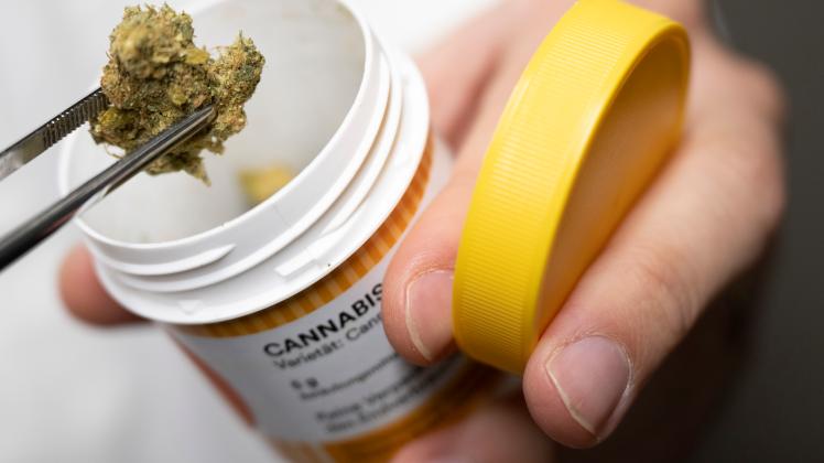 Kabinett - Cannabis-Legalisierung