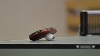 Ein Tischtennisschlaeger mit Ball liegt auf der Spielplatte, Symbolfoto: Tischtennis, Detailaufnahme, Schlaeger mit Ball