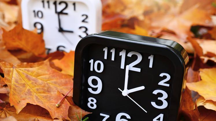 Zwei Uhren auf Herbstblättern, Symbolfoto für die Rückstellung auf Winterzeit *** Two clocks on autumn leaves, symbol ph