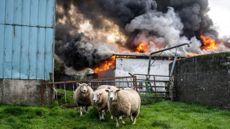 Großfeuer auf einem Bauernhof in Sieverstedt mit Einsatz eines Rettungswagen