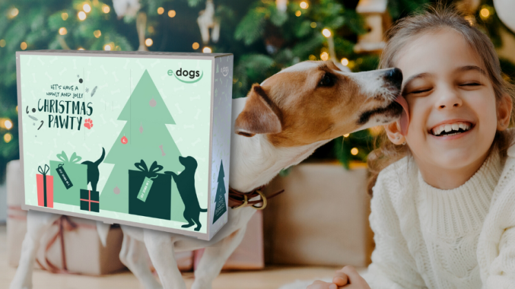 ADVERTORIAL - Hunde Adventskalender von edogs