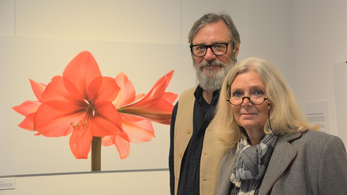 Ausstellung „Fiese Gewächse“ im Museum Eckernförde