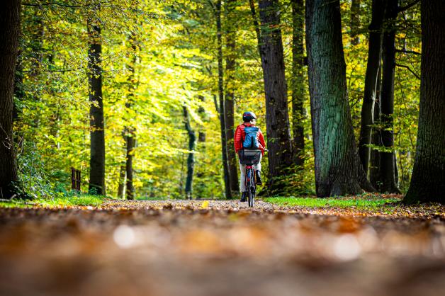  Eine Radfahrerin durchquert einen Wald.