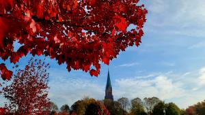 Imposant und eindrucksvoll ragt der Turm des St. Petri Doms in Schleswig aus den Blätterkronen der bunten Bäume hervor. Besonders auf den Königswiesen lässt sich jetzt das Farbspektakel der Natur genießen. 