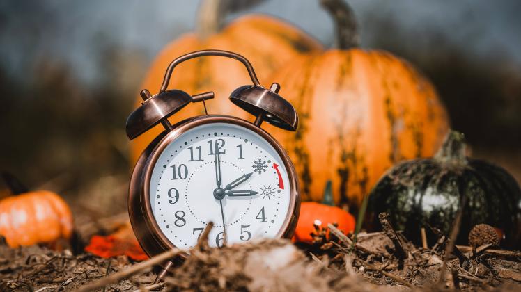 RECORD DATE NOT STATED 29 October 2022: Alarm clock on a pumpkin field with autumn leaves - symbol image time change fro