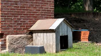 simple wooden dog house in rural farm , 6807666.jpg, dog, house, home, wood, doghouse, wooden, shelter, pet, animal, out