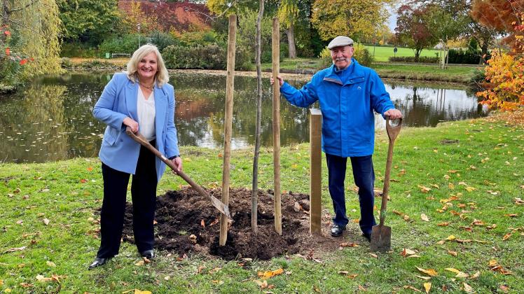 Bürgermeisterin Dagmar Bahlo und Dieter Michalowitz beim Einpflanzen
des Tupelobaums am Ufer des Schwanenweihers in Georgsmarienhütte
