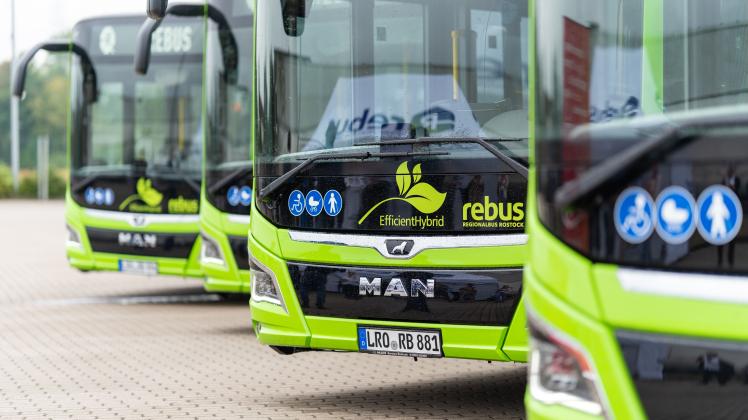 Die Rebus-Busse fahren durch Rostock und den Landkreis. Seit Sommer wurde auf einzelnen Strecken der Takt verdichtet - anlässlich des 9-Euro-Tickets. 