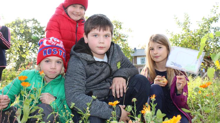 Mädchen und Jungen der Freien Schule Bröbberow legten auf dem Schulgelände viele Blühwiesen und  -streifen an.
