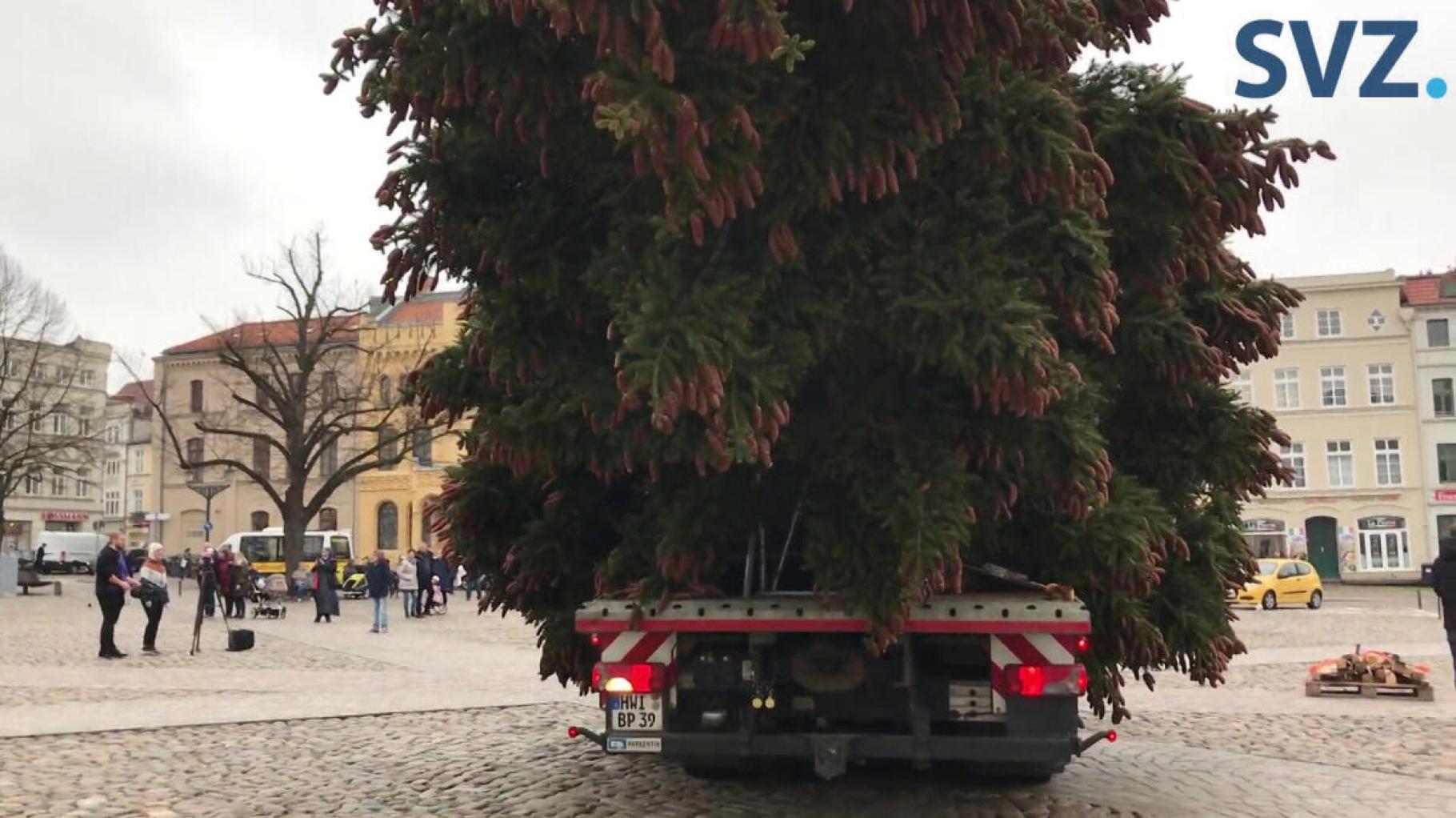 Wismars Weihnachtsbaum 2022 steht