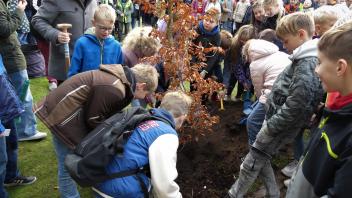 Tag des Baumes in Emsbüren: Gemeinsam mit rund 130 Viertklässlern pflanzte der Heimatverein auf dem Heimathof eine Rotbuche, den Baum des Jahres 2022.