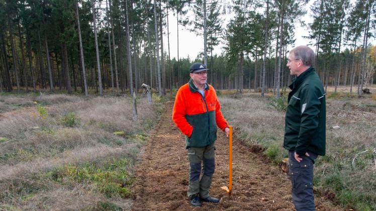 Stehen sie im Wald der Zukunft? Ludger Rawe (links) und Björn Wicks fragen sich, ob die im Frässtreifen ausgestreuten Eicheln in 50 Jahren zu einem neuen Wald geworden sein werden.